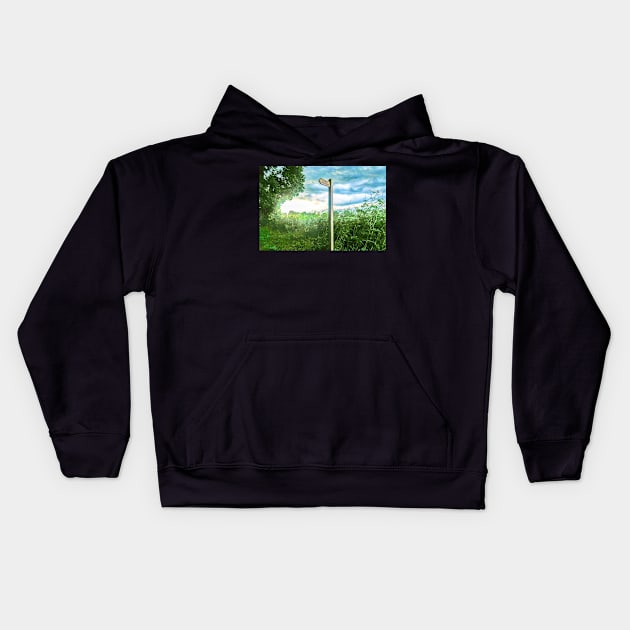 Go Explore Kids Hoodie by vincentjnewman